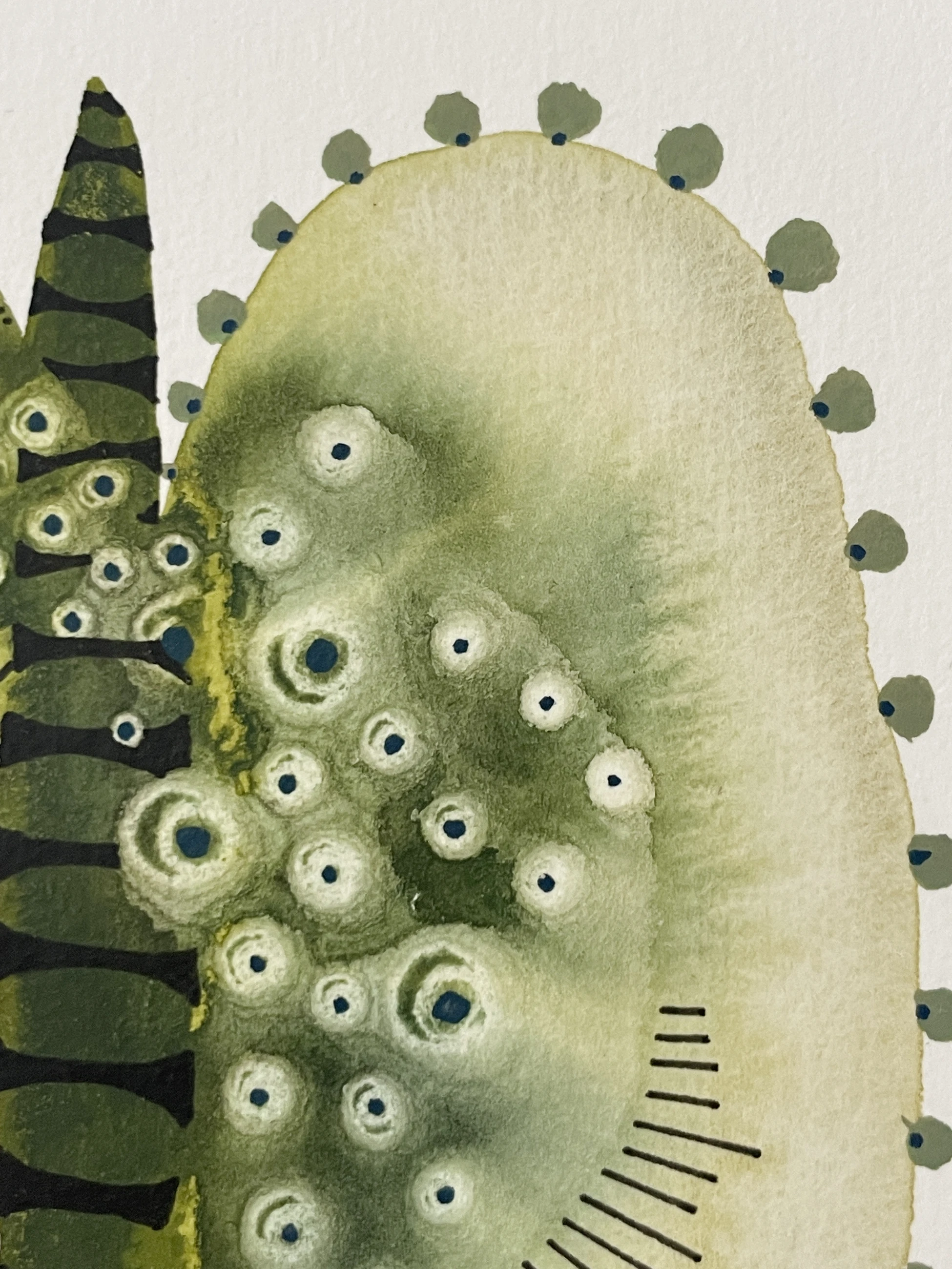 Morphology 1 by Adriana Merlo — view 3 of 6