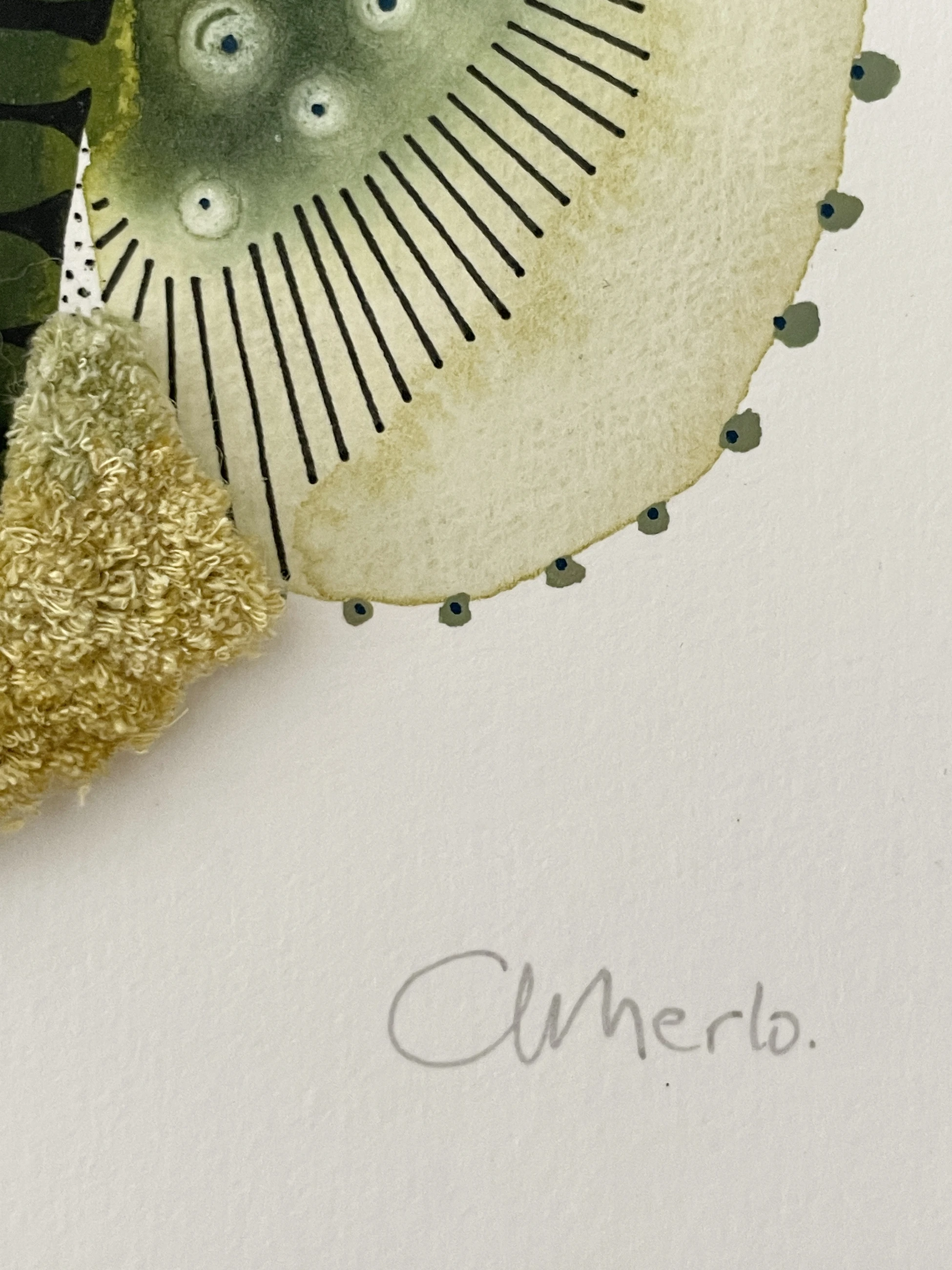 Morphology 1 by Adriana Merlo — view 5 of 6
