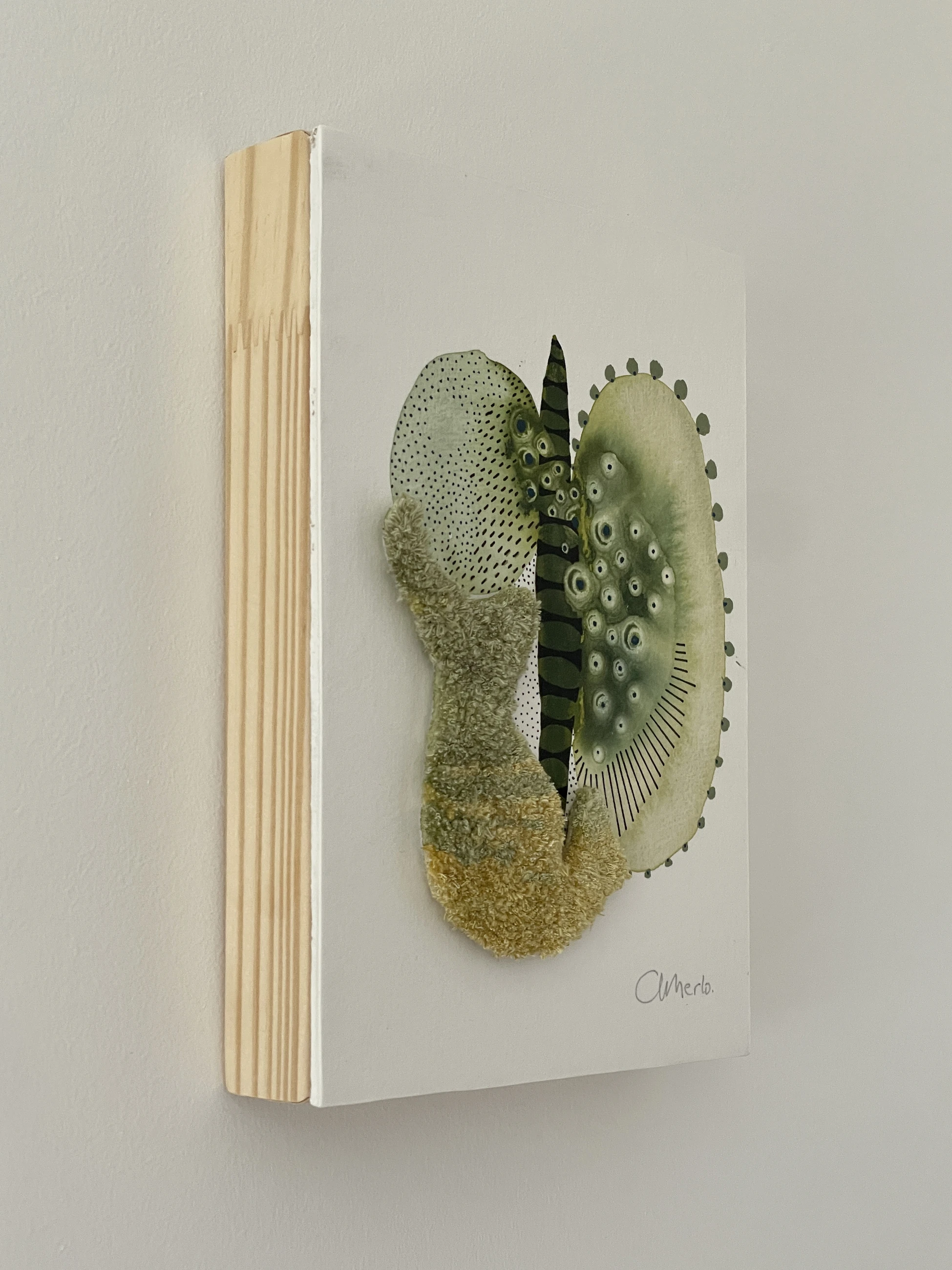 Morphology 1 by Adriana Merlo — view 6 of 6